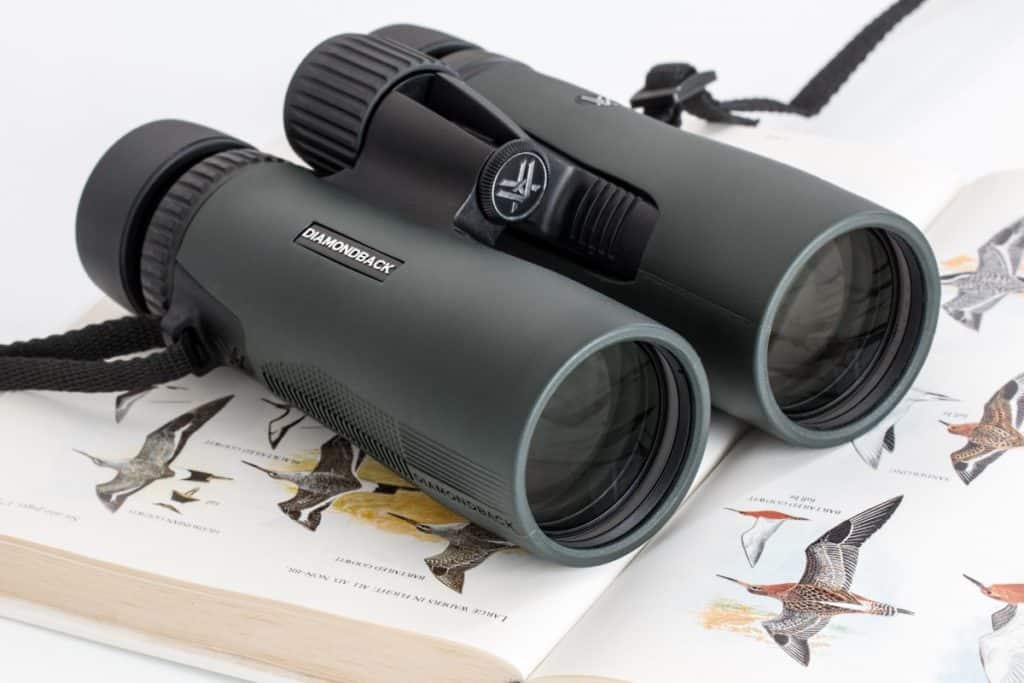 Find The Best Binoculars For Hunting