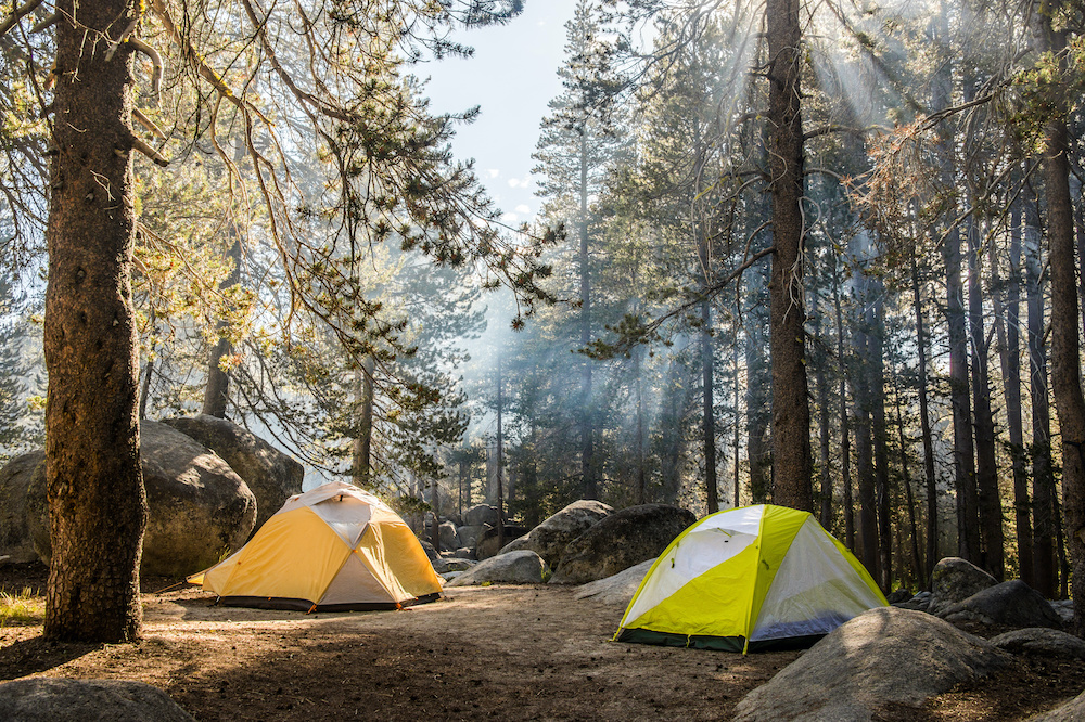 can you camp in national parks